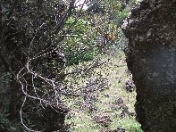 Salto_del_Cane - 20100602 044.jpg